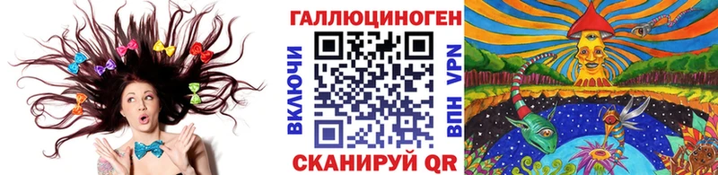 Псилоцибиновые грибы Psilocybe  Северобайкальск 