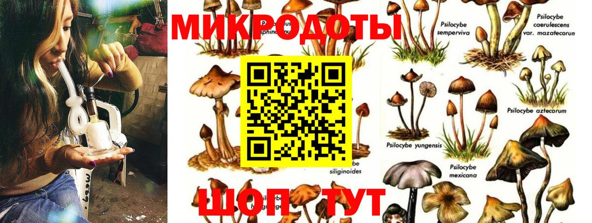 Северобайкальск  Галлюциногенные грибы ЛСД  Галлюциногенные грибы GOLDEN TEACHER  Вход с VPN 